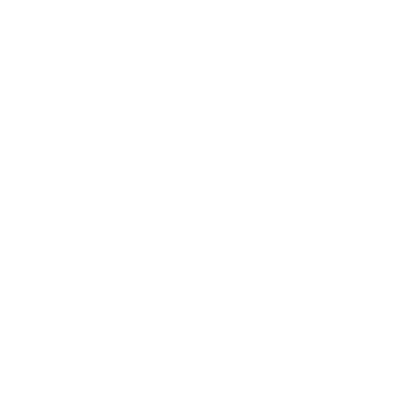 OLD SPICE
